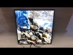 Brand Original BOE 33 inch Square LCD Panel 420Nits 1920*1920 Square Advertising Display